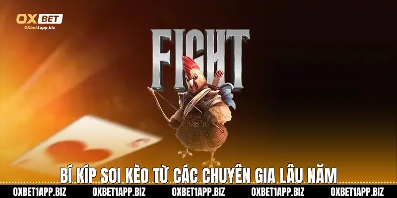 Bí kíp soi kèo từ các chuyên gia lâu năm
