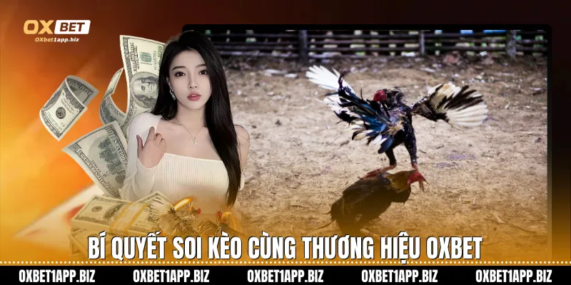 Bí quyết soi kèo cùng thương hiệu Oxbet