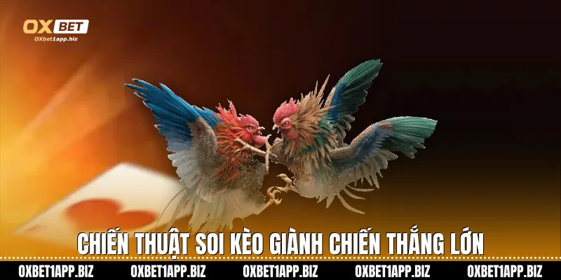 Chiến thuật soi kèo giành chiến thắng lớn