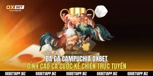 Đá Gà Campuchia Oxbet: Đỉnh Cao Cá Cược Kê Chiến Trực Tuyến