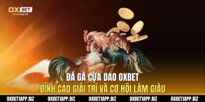 Đá Gà Cựa Dao Oxbet - Đỉnh Cao Giải Trí Và Cơ Hội Làm Giàu