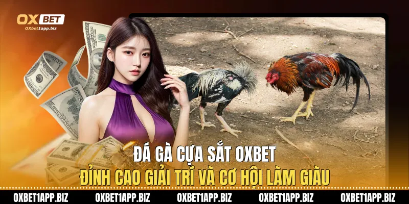Đá Gà Cựa Sắt Oxbet – Đỉnh Cao Giải Trí Và Cơ Hội Làm Giàu