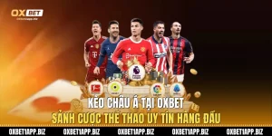 Kèo Châu Á Tại Oxbet - Sảnh Cược Thể Thao Uy Tín Hàng Đầu