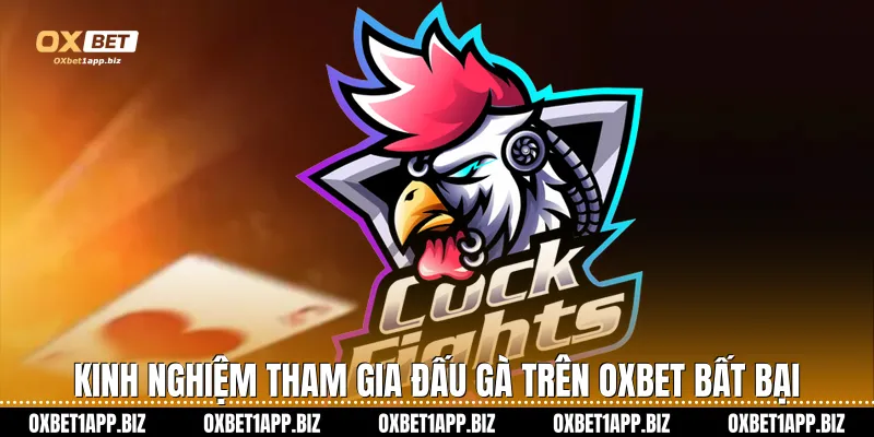 Kinh nghiệm tham gia đấu gà trên Oxbet bất bại