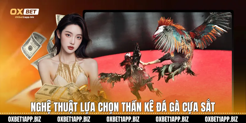 Nghệ thuật lựa chọn thần kê đá gà cựa sắt