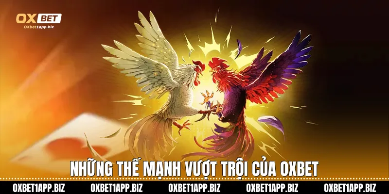 Những thế mạnh vượt trội của Oxbet