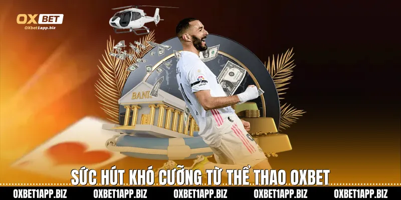 Sức hút khó cưỡng từ thể thao Oxbet
