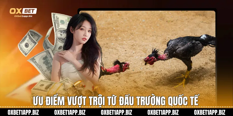 Ưu điểm vượt trội từ đấu trường quốc tế